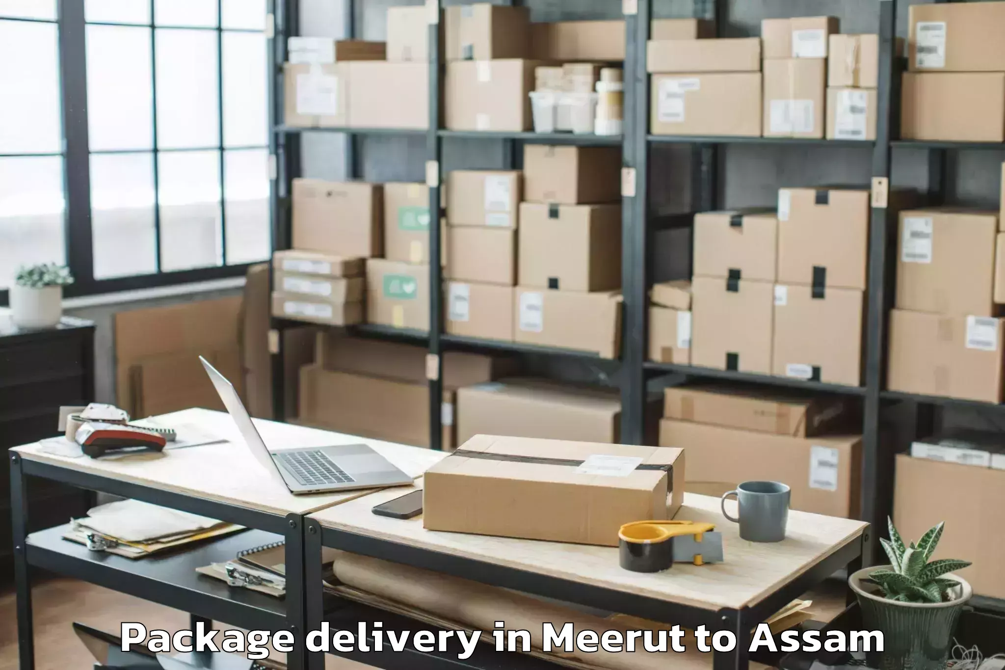 Trusted Meerut to Titabar Package Delivery